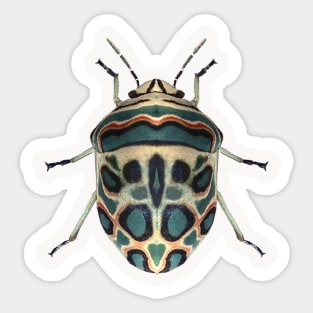 Picasso Bug Sticker